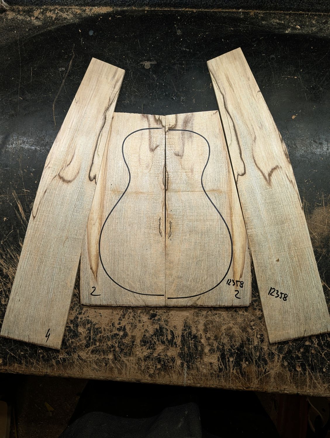 British Spalted Sycamore Back and Sides Tenor/Concert Ukulele 12358