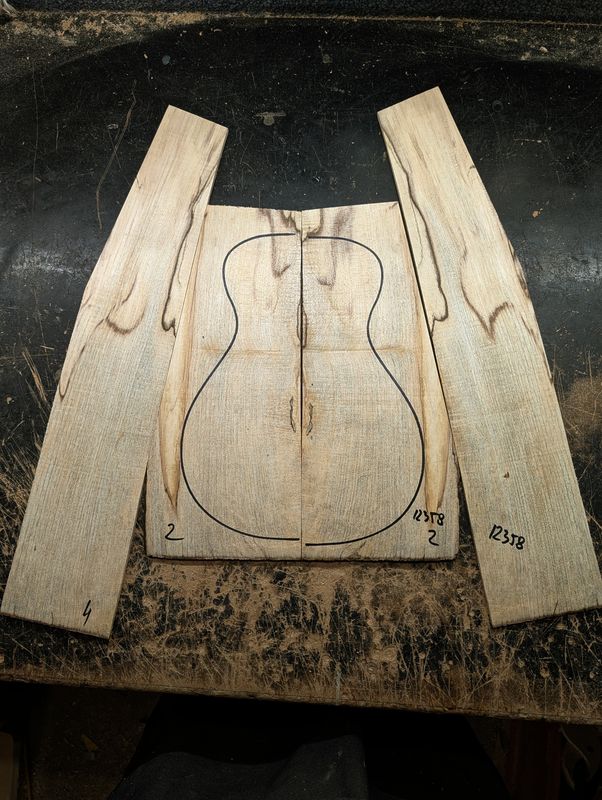 British Spalted Sycamore Back and Sides Tenor/Concert Ukulele 12358