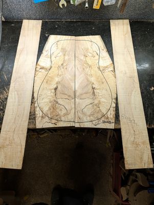 British Spalted Sycamore Back and Sides 12365