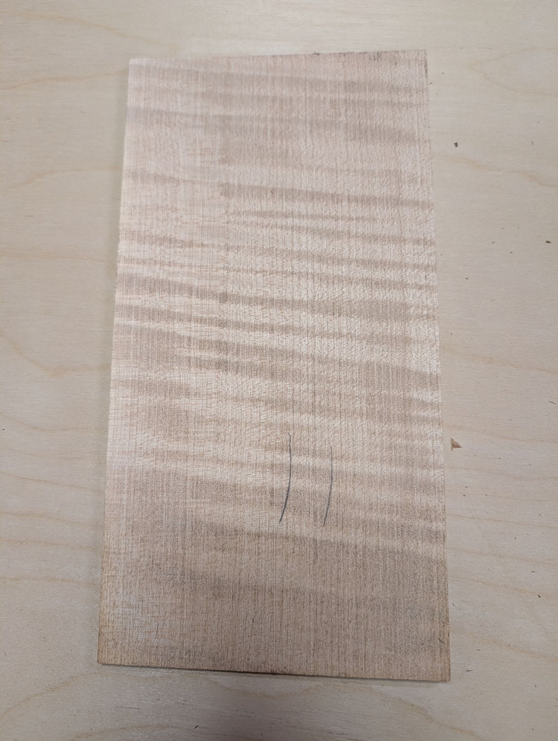 Large Curly Maple Headplate 12402