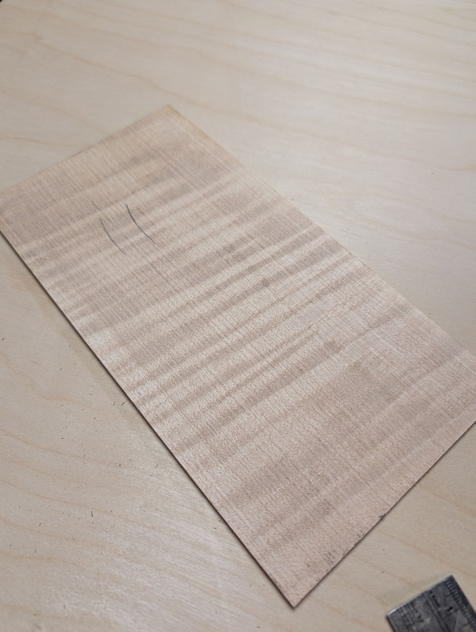 Large Curly Maple Headplate 12402