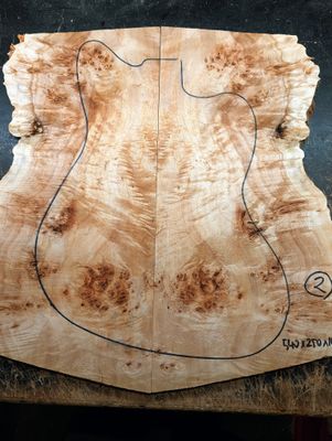 British Mappa Burl Drop Top 12475