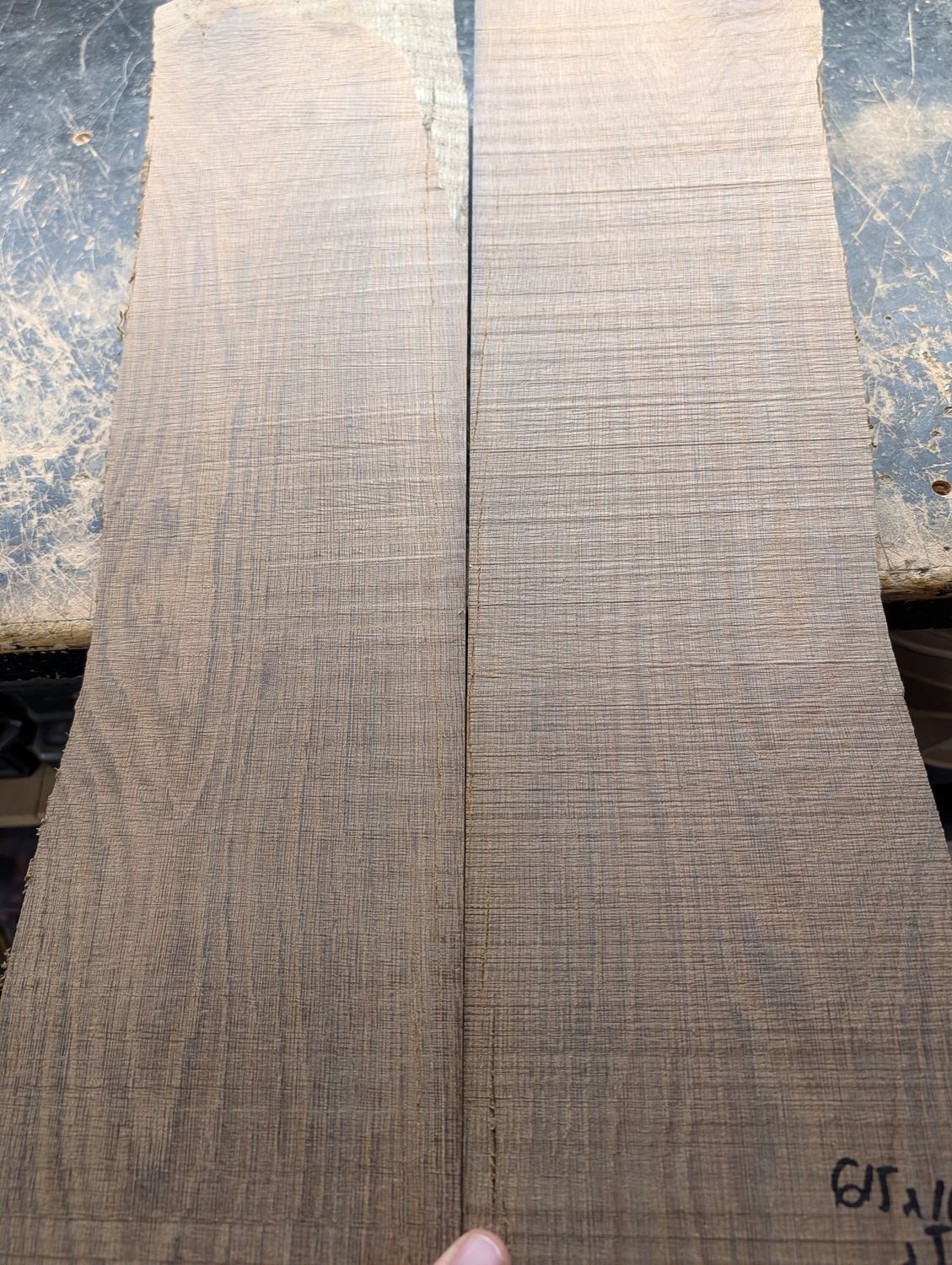Bookmatched Bog Oak Pieces 12483