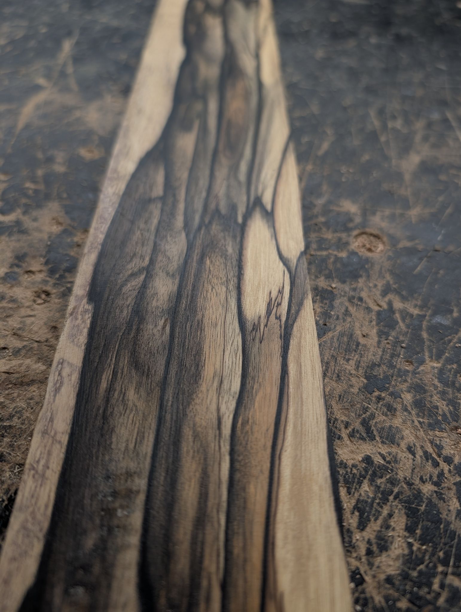 Pale Moon Ebony Short Scale Bass Fingerboard 12541