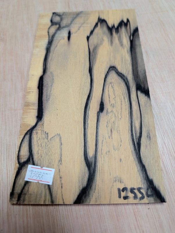 Pale Moon Headplate 12556