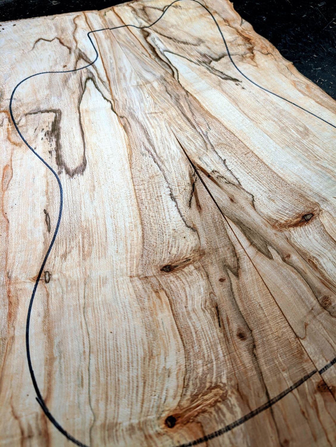 British Sycamore Drop Top 12563