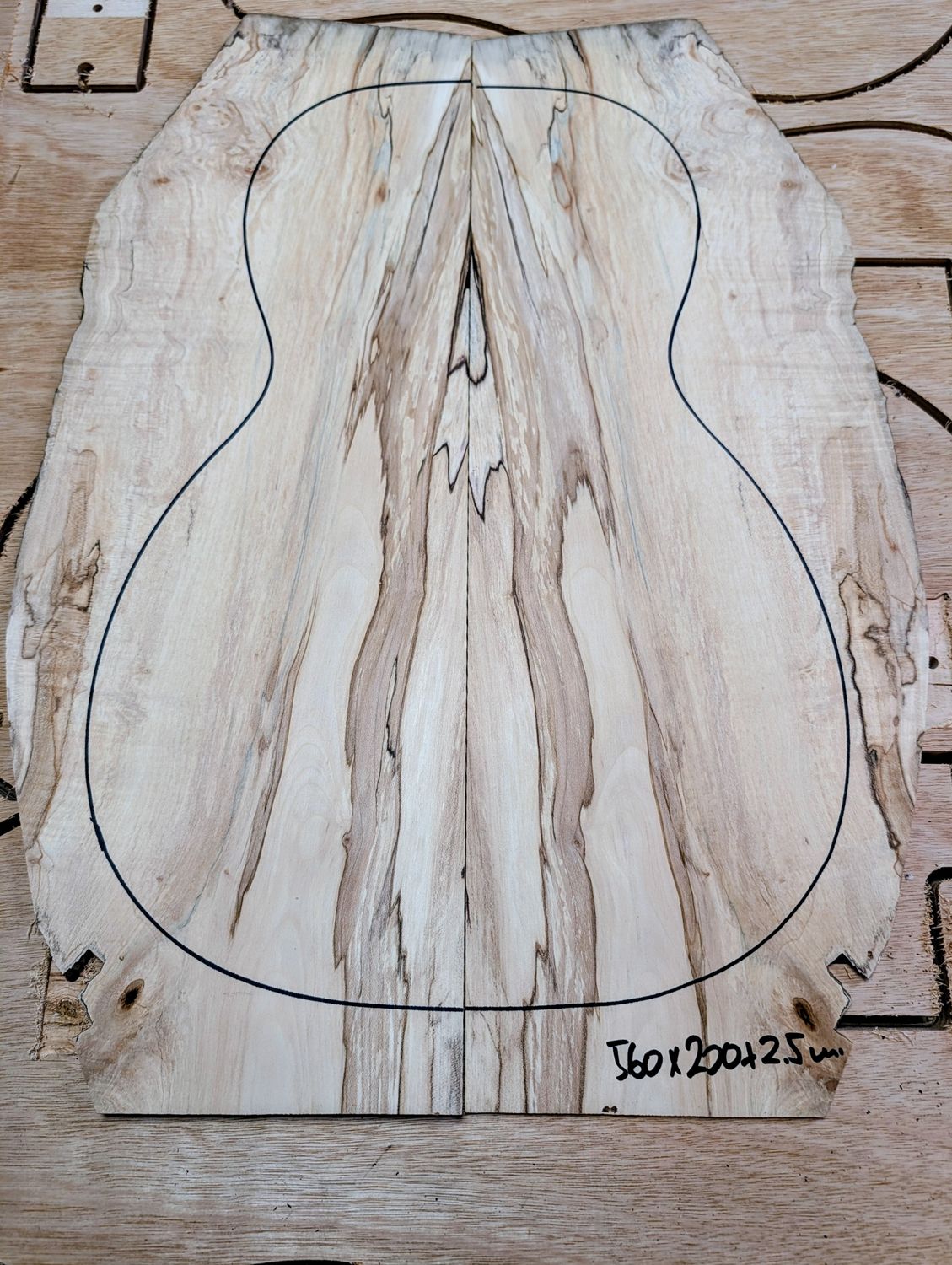 British Sycamore Parlour Soundboard Back 12580
