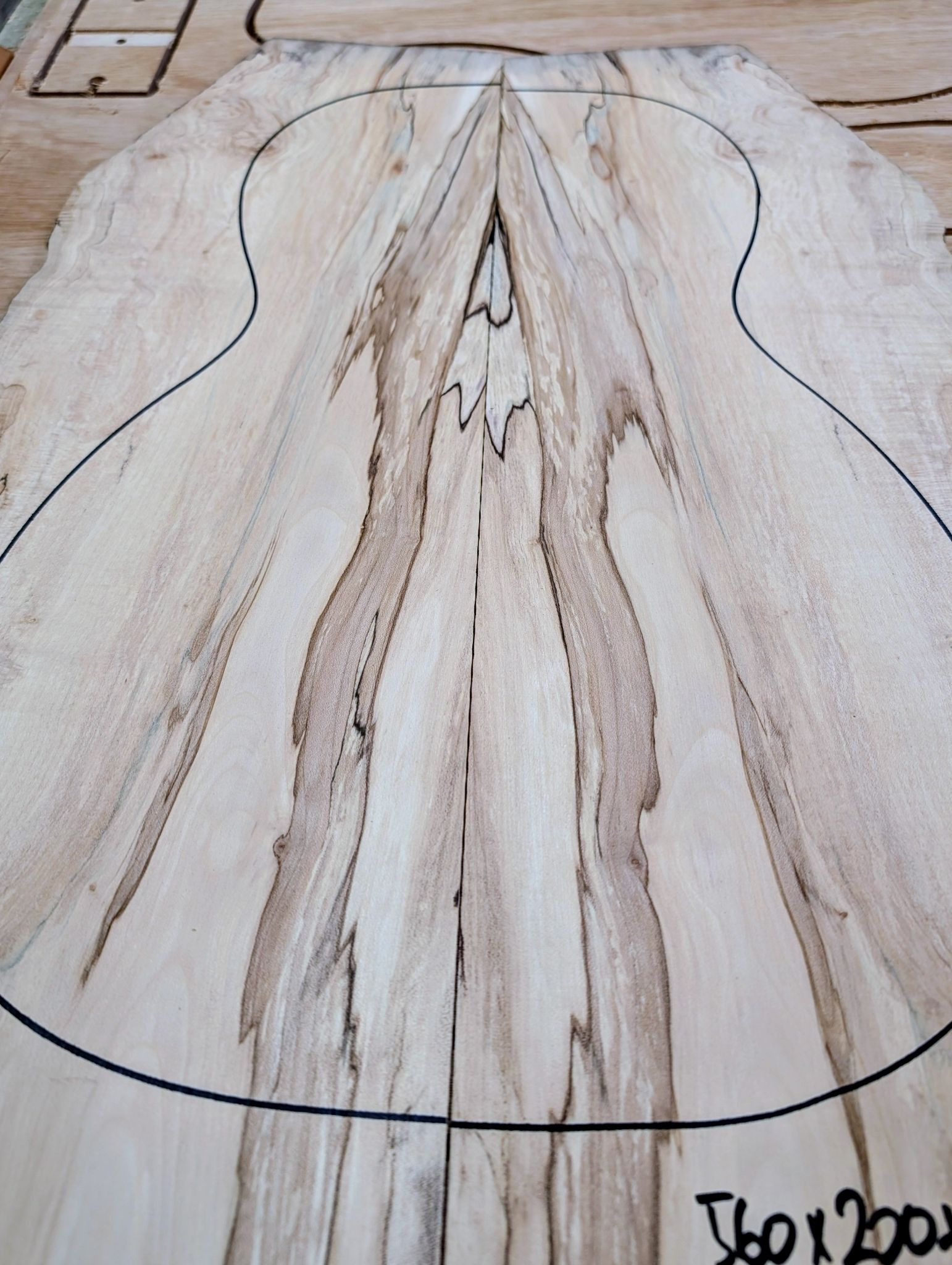 British Sycamore Parlour Soundboard Back 12580