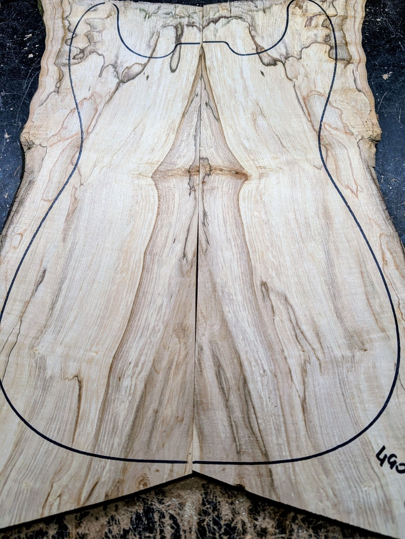 British Sycamore Drop Top 12592