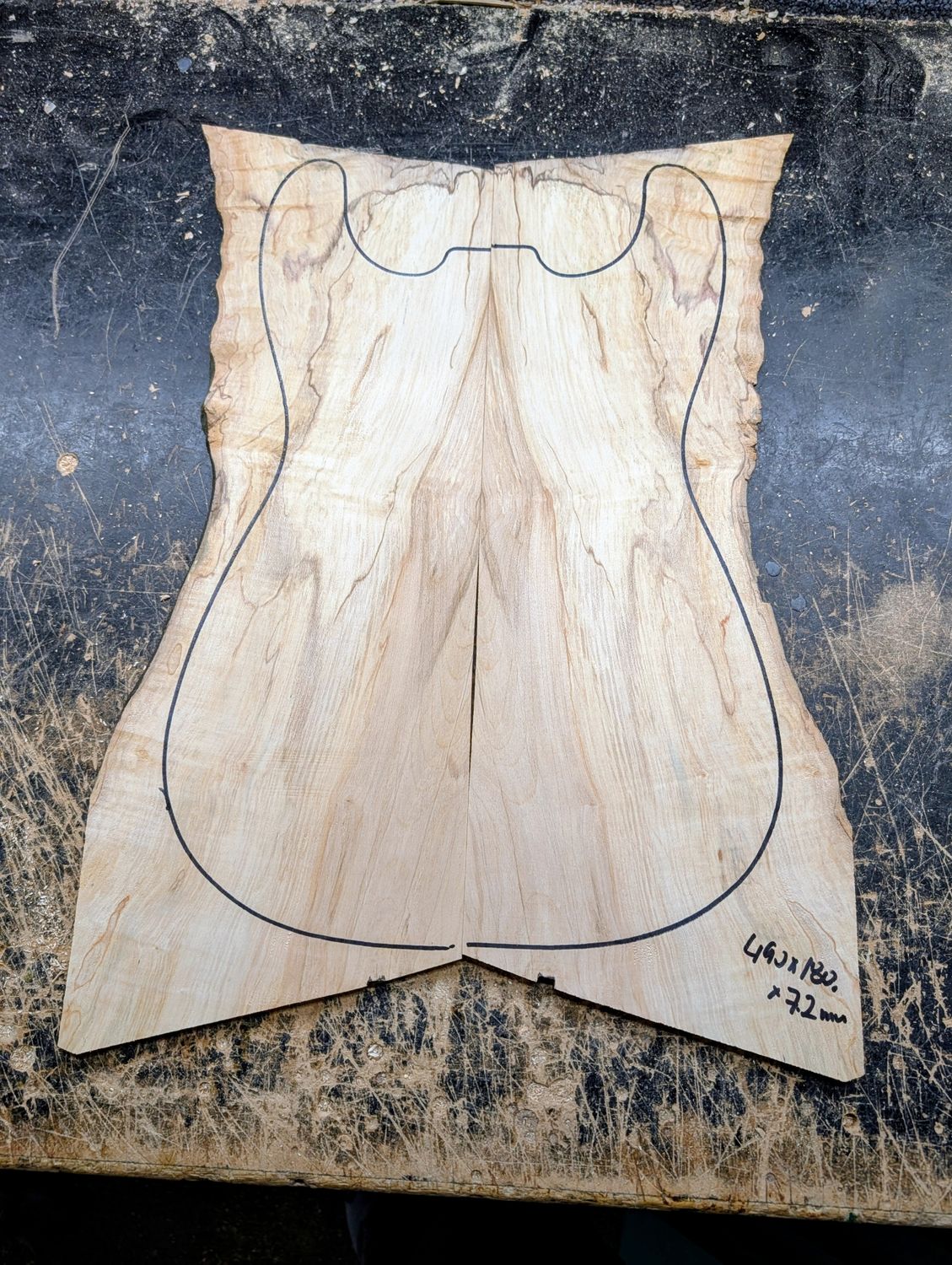 British Sycamore Drop Top 12591