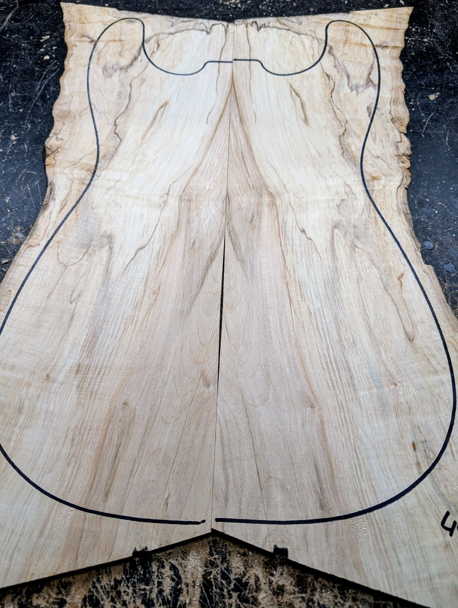 British Sycamore Drop Top 12591