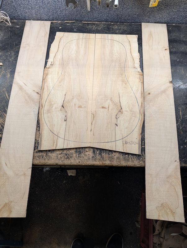 British Sycamore Back and Sides Set 12611
