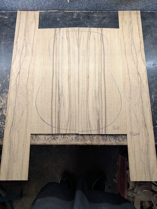 Black Limba Korina Back and Sides Set 12609