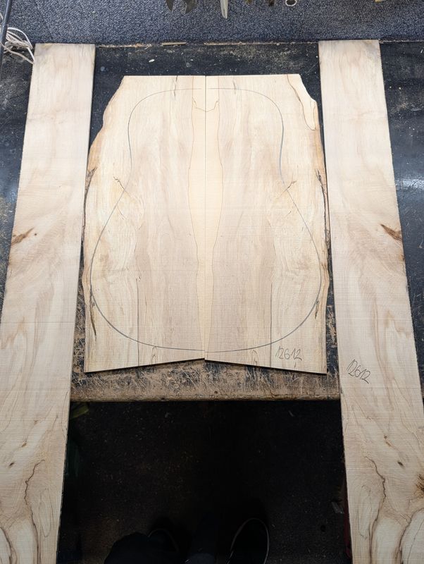 British Sycamore Back and Sides Set 12612