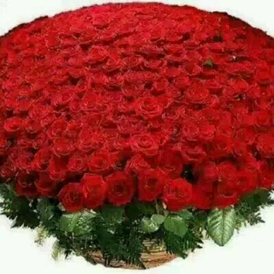 flor natural