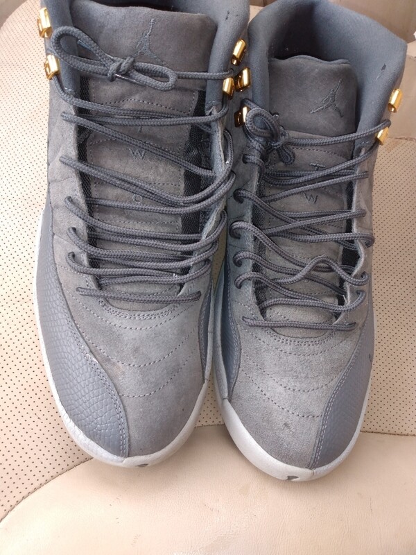Retro Jordan 12