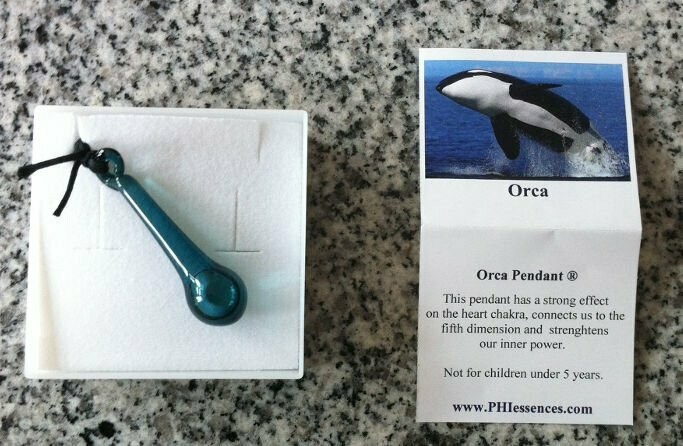Orca - Anhänger
