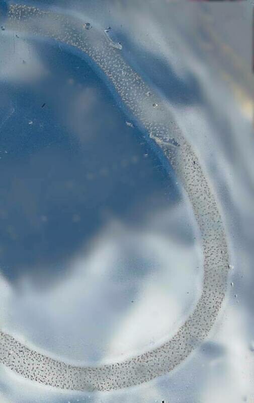 Ocean Essence Nr. 1