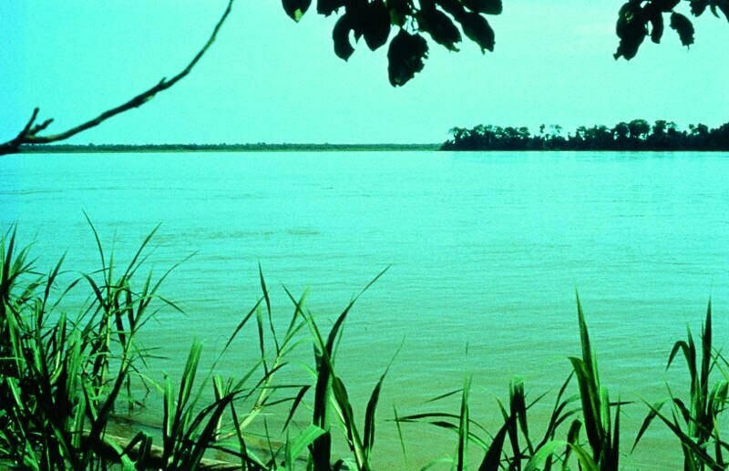 Amazonas