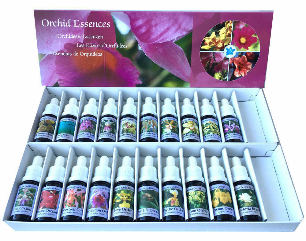 Orchideen Komplettset 1 - 20