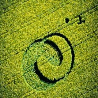 38.) Ying-Yang, Niederelsungen, D (2001)