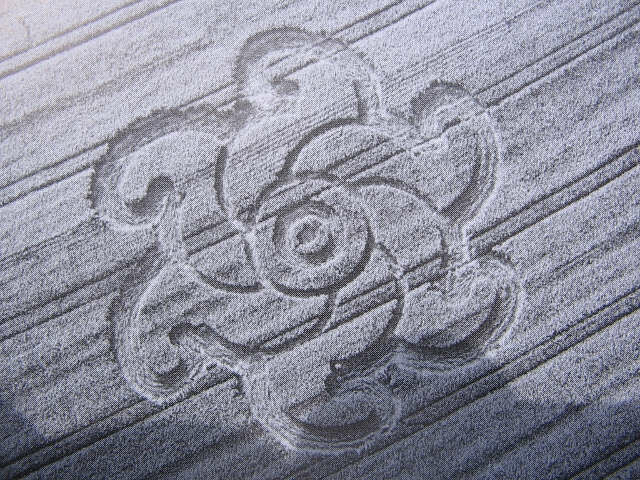 40.) 6 Petal Flower, Donarbrunnen, D (2001)