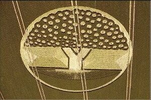 58.) Tree of Life, East Field, UK (2002) 58.) Tree of Life, East Field, UK (2002)