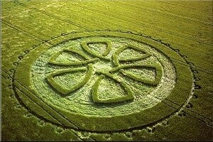 61.) Celtic Knot, Avebury Trusbe, UK (2002)