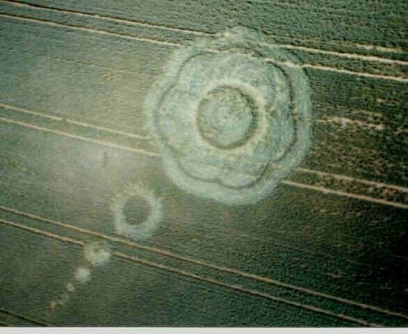 67.) 7-lobed Rosette, Unterrieden, D (2003)