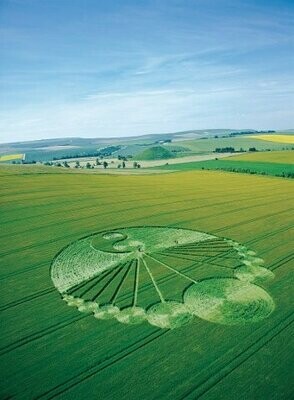 70.) Ying Yang Fan, Waden Hill, UK (2003) 70.) Ying Yang Fan, Waden Hill, UK (2003)