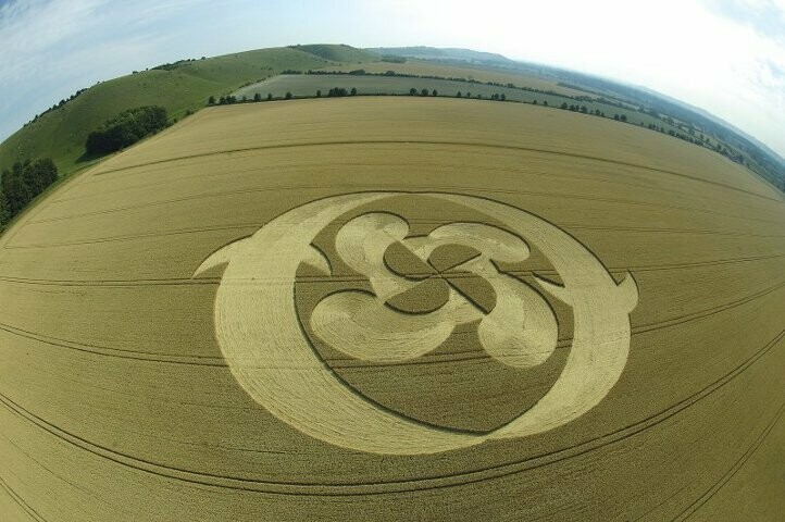 74.) Dolphins, Droycott Hill, UK (2004)