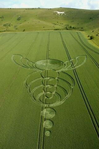 77.) Bee, White Horse, UK (2004)