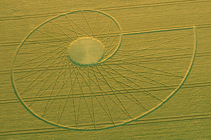 87.) Fibonacci Spiral, Badbury Castle, UK (2006)
