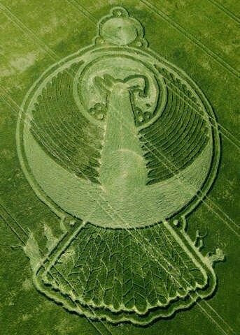 110.) Indian Eagle, Yatesbury, UK (2009)