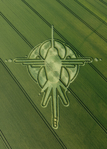 117.) Eagle, Milk Hill, UK (2009)