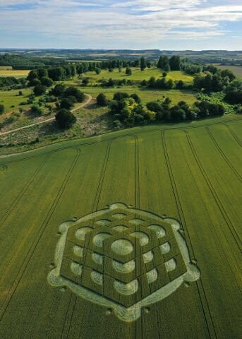 128.) Nether Hallop, Danebury Hill, UK (2010)