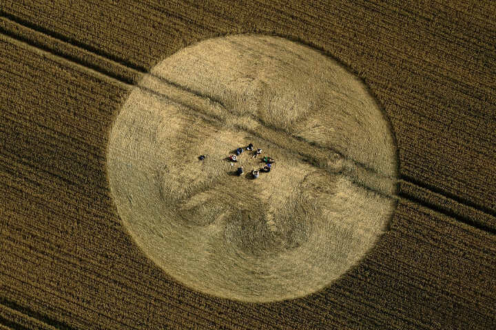 133.) Cherhill Down, Yatesbury, Wiltshire (2011)