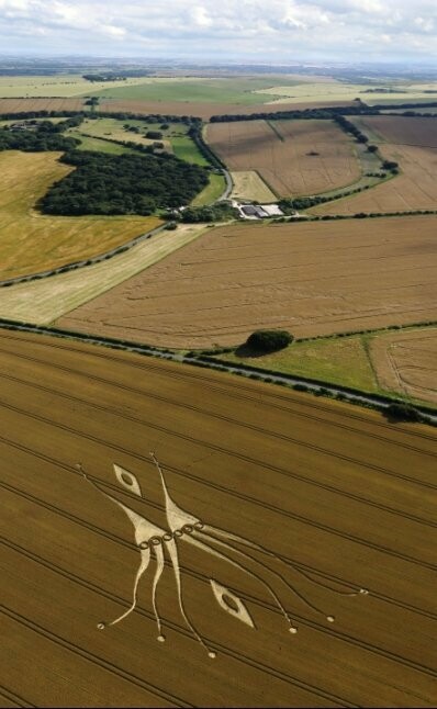 144.) Westwood Lockeridge, UK (2012)