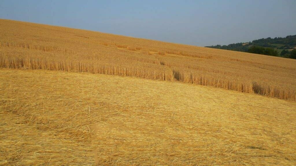 152.) Robella, Italien (2013)