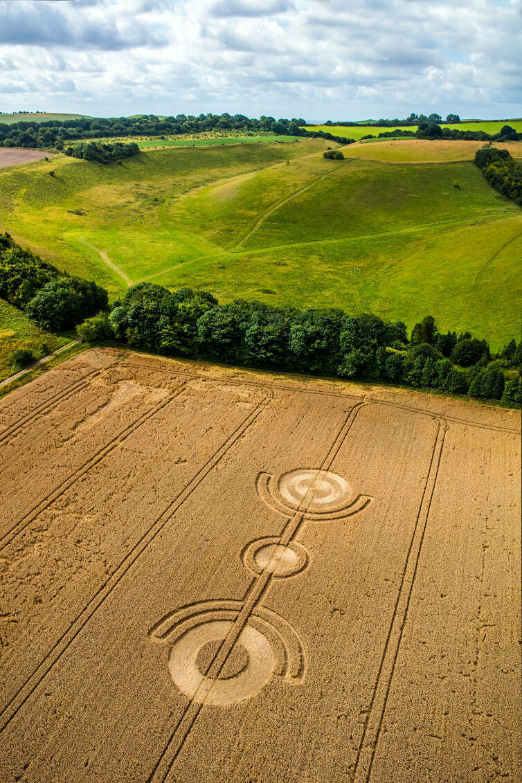 188.) Kornkreis Thorn Hill, East Kennett UK (2017)