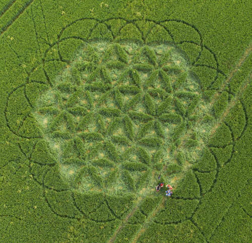 212.) Blume des Lebens, St. Jean de Brüssel FR (2019)