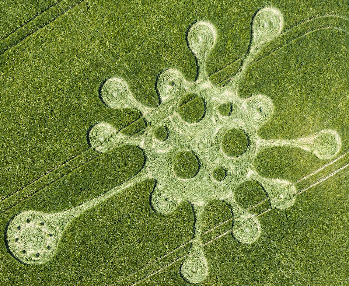 214.) Virus, Potterne Field, nr. Devizes, UK 2020
