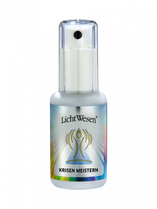 Krisen meistern