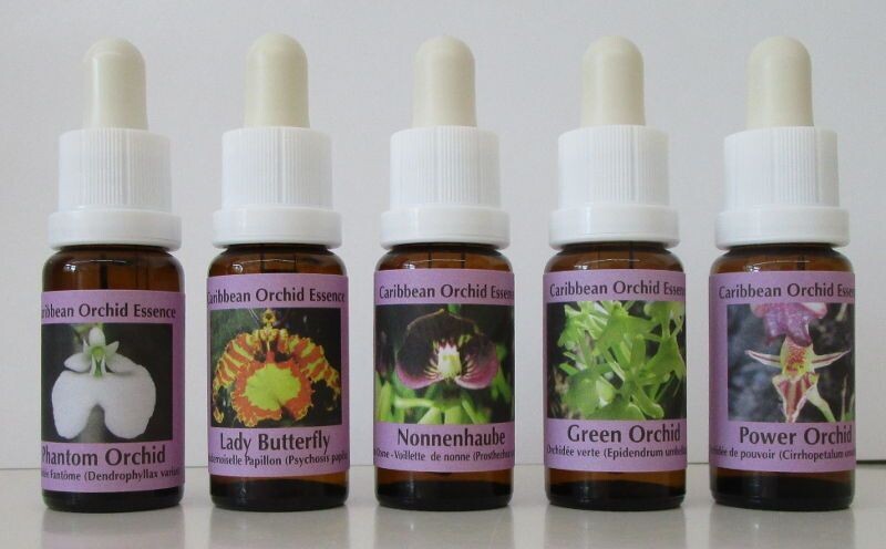 Set Karibische Orchideen Essenzen