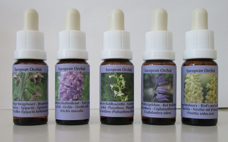 Set Europäische Orchideen Essenzen