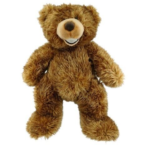 Kuscheliger Grizzly Bär