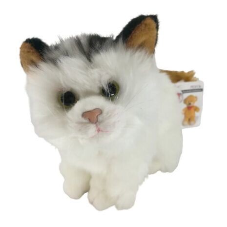 Penya Schildpattkatze