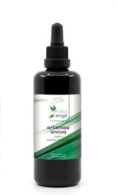Artemisia Annua Tinktur 100ml/35Vol% Vital Engel