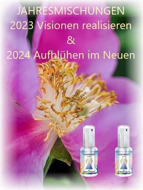 Sonderpreis Jahresmischung 2023 und 2024 als Set