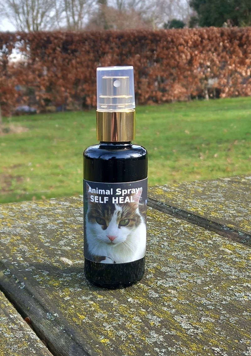 Tier Spray Selbst heilen